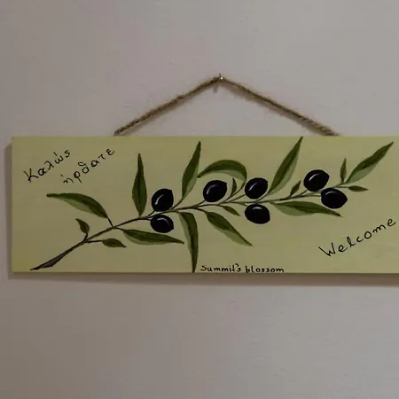 公寓 Zeusplace Summit's Blossom *