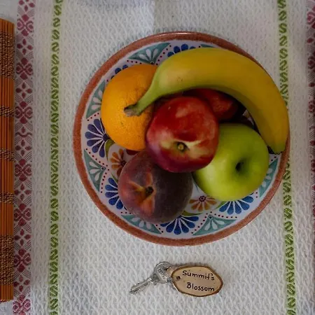 Zeusplace Summit's Blossom 公寓 里托楚伦